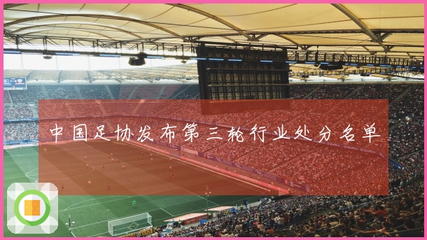中国足协发布第三轮行业处分名单